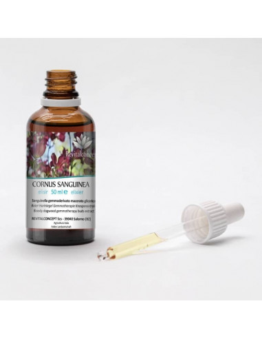 Roter Blut-Hartriegel Bio Gemmotherapie...