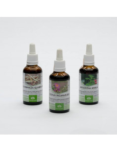 Bio Kräuterpaket mit unseren 3 Besten Tinkturen:...