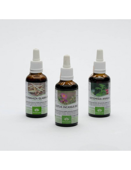 Bundle erbe bio con le nostre 3 migliori tinture: Cisto, Liquirizia, Artemisia