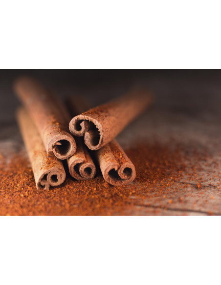 Cannella bio tintura officinale ayurvedica gocce o spray | CINNAMOMUM VERUM BIO