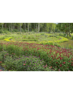 FREEMIX PRO individual herbal mixture for therapists with...