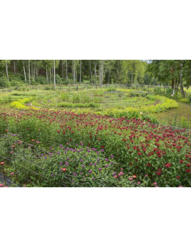 FREEMIX PRO individuelle Kräuter-Mischung für...