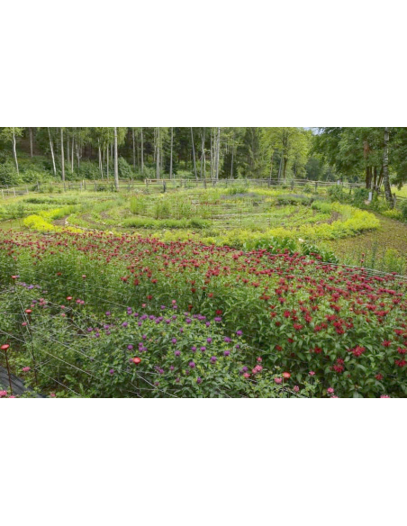 FREEMIX PRO individuelle Kräuter-Mischung für Therapeuten mit individuellem Etikett