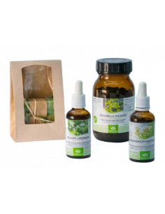 Chlorella Koriander Bärlauch Ausleitungspaket