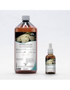 Wolliger Schneeball Bio Gemmotherapie Jungtrieb Extrakt...