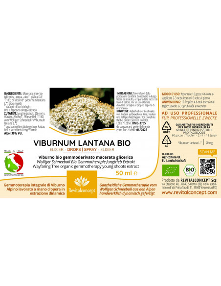 Wolliger Schneeball Bio Gemmotherapie Jungtrieb Extrakt Tropfen o. Spray | VIBURNUM LANTANA BIO