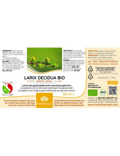 Europäische Lärche Bio Gemmotherapie Knospenextrakt... 2