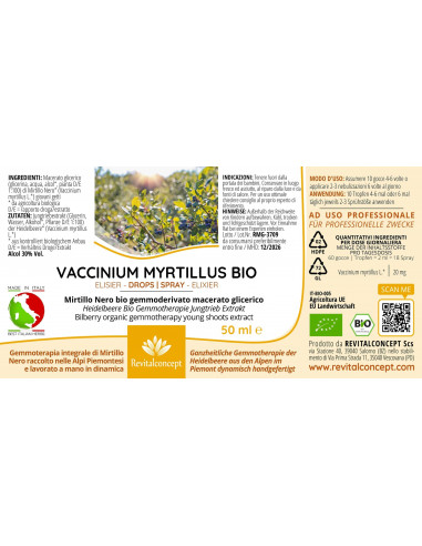 Bilberry organic gemmotherapy young shoots...