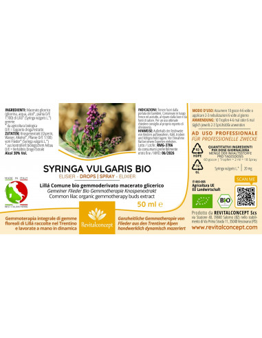 Lillá Comune bio gemmoderivato macerato...