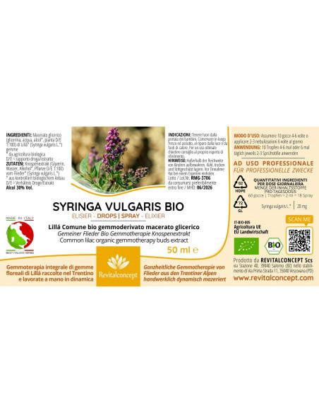 Lillá Comune bio gemmoderivato macerato glicerico gocce o spray | SYRINGA VULGARIS BIO