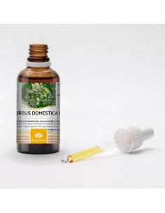 Speierling Bio Gemmotherapie Knospenextrakt Tropfen o.... 2