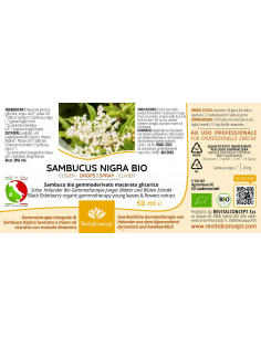 Schwarzer Holunder Bio Gemmotherapie junger Blätter und... 2