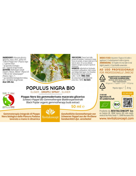 Schwarz-Pappel Bio Gemmotherapie Blattknospenextrakt Tropfen o. Spray | POPULUS NIGRA BIO