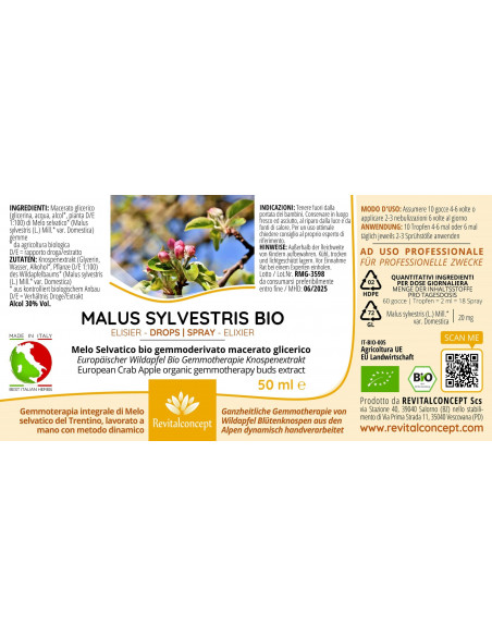 Europäischer Wildapfel Bio Gemmotherapie Knospenextrakt Tropfen o. Spray | MALUS SYLVESTRIS BIO