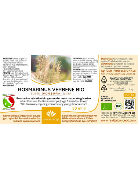 Rosmarino Selvatico bio gemmoderivato macerato glicerico gocce o spray | ROSMARINUS VERBENE BIO