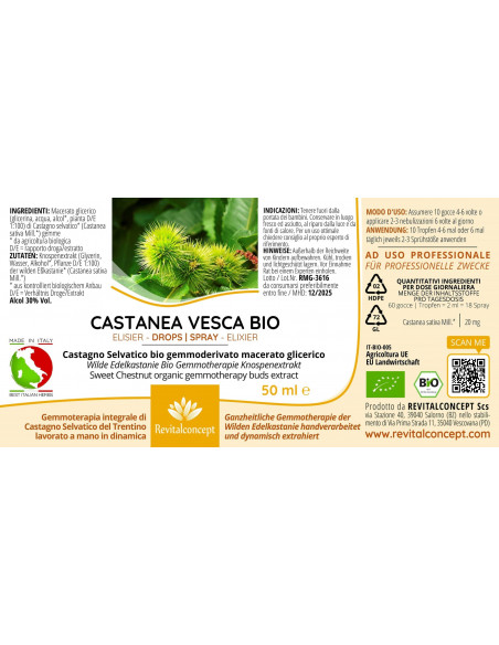 Wilde Edelkastanie (Esskastanie) Bio Gemmotherapie Knospenextrakt Tropfen o. Spray | CASTANEA VESCA BIO
