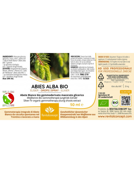 Silver Fir organic gemmotherapy buds extract drops or spray | ABIES ALBA BIO