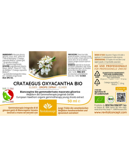 Weißdorn Bio Gemmotherapie Jungtrieb Extrakt Tropfen o. Spray | CRATAEGUS OXYACANTHA BIO