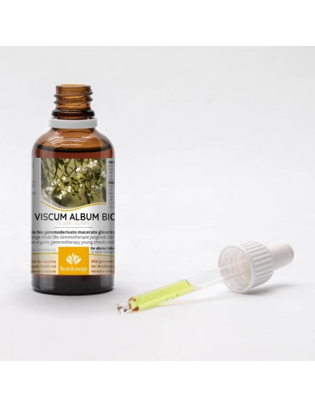 Weißbeerige Mistel Bio Gemmotherapie Jungtrieb Extrakt Tropfen o. Spray | VISCUM ALBUM BIO