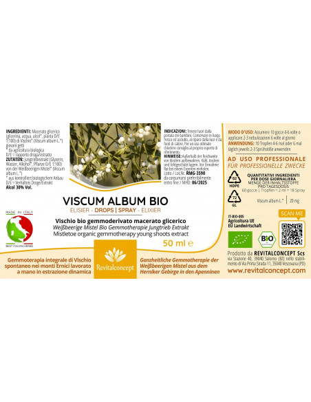 Weißbeerige Mistel Bio Gemmotherapie Jungtrieb Extrakt Tropfen o. Spray | VISCUM ALBUM BIO