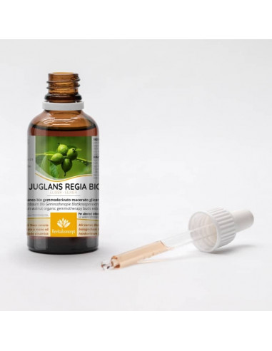 Walnussbaum Bio Gemmotherapie...