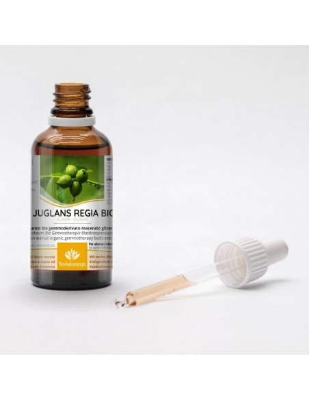 Walnussbaum Bio Gemmotherapie Blattknospenextrakt Tropfen o. Spray | JUGLANS REGIA BIO