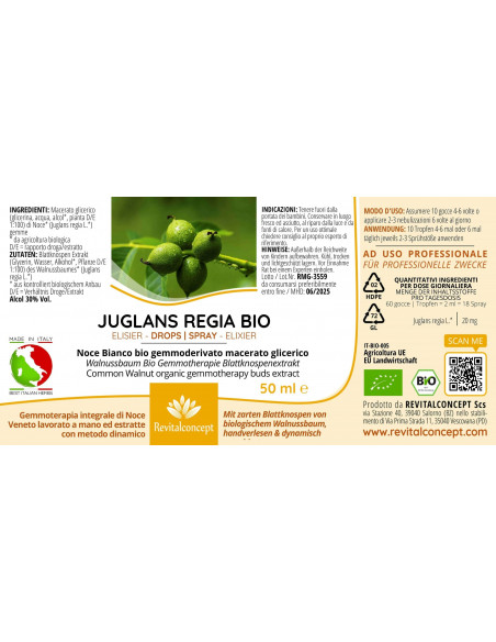 Walnussbaum Bio Gemmotherapie Blattknospenextrakt Tropfen o. Spray | JUGLANS REGIA BIO