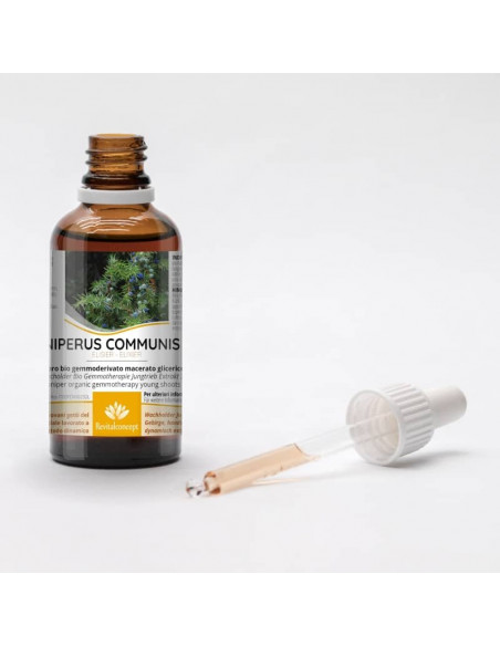 Wacholder Bio Gemmotherapie Jungtrieb Extrakt Tropfen o. Spray | JUNIPERUS COMMUNIS BIO