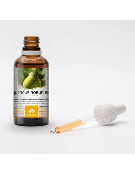 Quercia Comune bio gemmoderivato macerato glicerico gocce o spray | QUERCUS ROBUR BIO