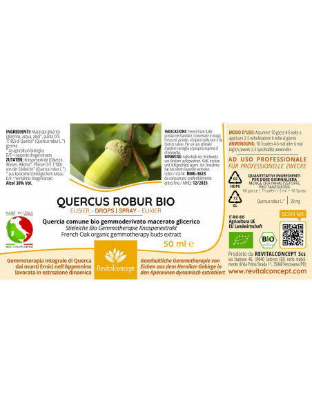 Quercia Comune bio gemmoderivato macerato glicerico gocce o spray | QUERCUS ROBUR BIO