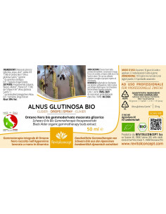 Schwarz-Erle Bio Gemmotherapie Knospenextrakt Tropfen o.... 2