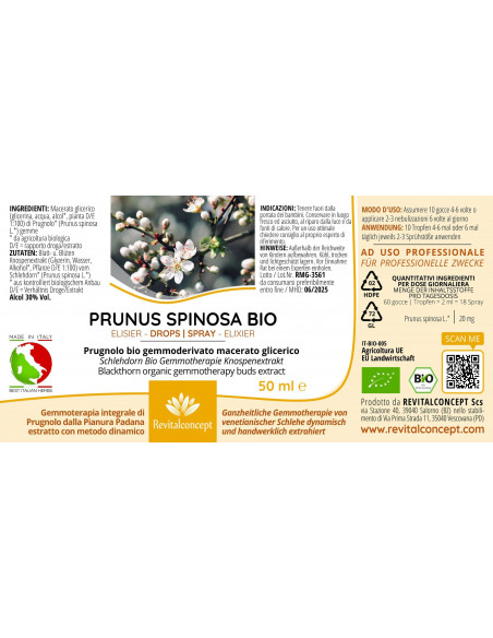 Blackthorn organic gemmotherapy buds extract drops or spray | PRUNUS SPINOSA BIO