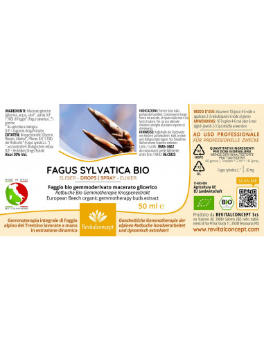 Rotbuche Bio Gemmotherapie Knospenextrakt...