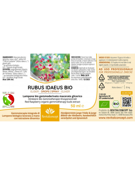 Himbeere Bio Gemmotherapie Knospenextrakt Tropfen o. Spray | RUBUS IDAEUS BIO