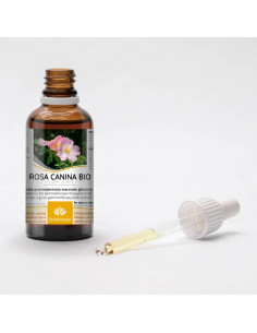 Heckenrose Bio Gemmotherapie Knospenextrakt Tropfen o.... 2