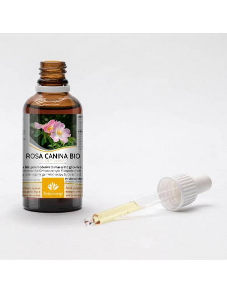 Heckenrose Bio Gemmotherapie Knospenextrakt Tropfen o. Spray | ROSA CANINA BIO