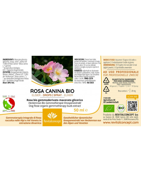 Heckenrose Bio Gemmotherapie Knospenextrakt Tropfen o. Spray | ROSA CANINA BIO