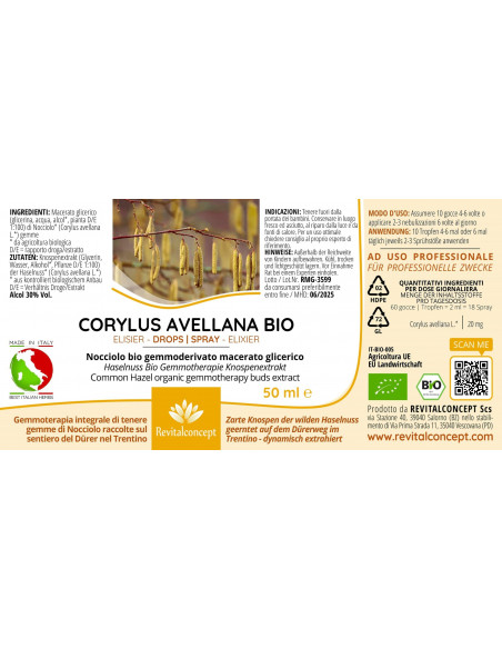 Haselnuss Bio Gemmotherapie Knospenextrakt Tropfen o. Spray | CORYLUS AVELLANA BIO