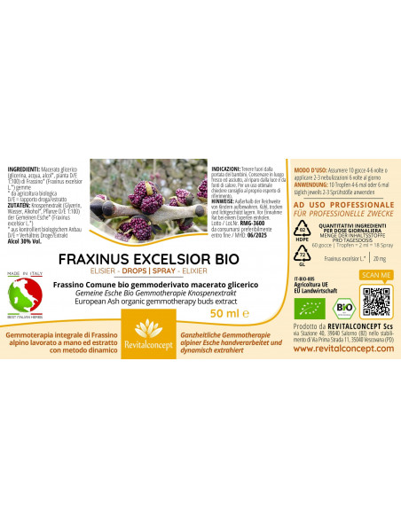Gemeine Esche Bio Gemmotherapie Knospenextrakt Tropfen o. Spray | FRAXINUS EXCELSIOR BIO
