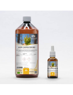 Feldahorn Bio Gemmotherapie Knospenextrakt Tropfen o....