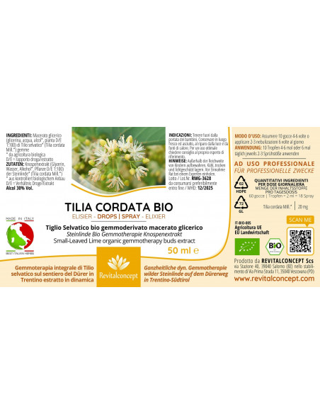 Small-Leaved Lime organic gemmotherapy buds extract drops or spray | TILIA CORDATA BIO