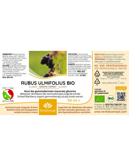 Rovo Mediterraneo bio gemmoderivato macerato glicerico gocce o spray | RUBUS FRUTICOSUS ULMIFOLIUS BIO